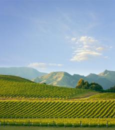 Marlborough - New Zealand