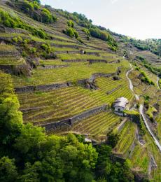 Castionetto di Chiuro - Valtellina