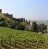 Castello di Soave