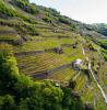 Castionetto di Chiuro - Valtellina