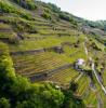 Valtellina Castionetto di Chiuro