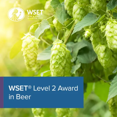 WSET Level 2 Award in Beer