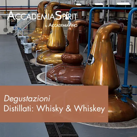 Degustazioni – Distillati: whisky & whiskey